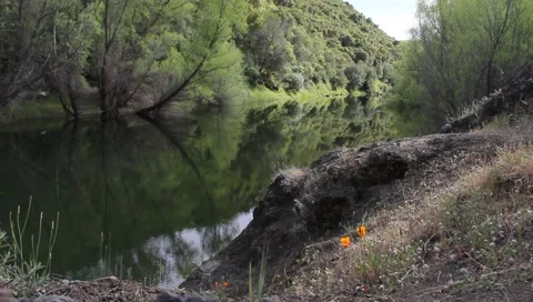 Idyllic Mirror Lake Stock Footage 3525410