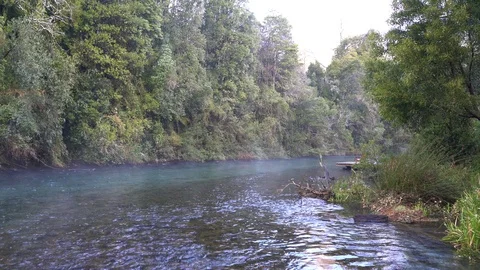 Idyllic misty rainforest landscape at Caburgua river, South of Chile Stock-Footage 117331953