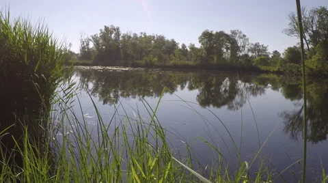 Idyllic morning at the river Oder Stock Footage 68663297