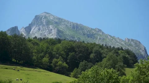 Idyllic mountain landscape with grazing cows Видео 337036207
