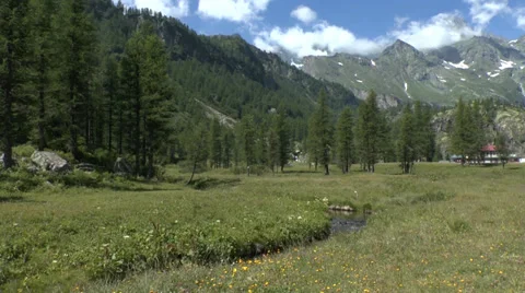 Idyllic Mountain Location with Gently Flowing Stream 動画素材 32292422