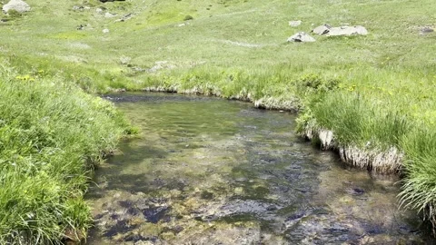 Idyllic mountain stream on a green high plateau in the Stubai Alps in the Tyrol Vidéo 295279194