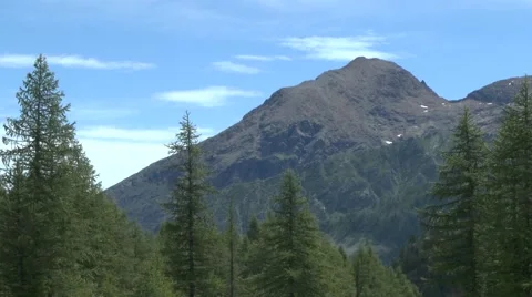 Idyllic Mountain View with Swaying Trees Stock Footage 41587811