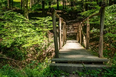 Idyllic old bridge in a forest Stock Photos