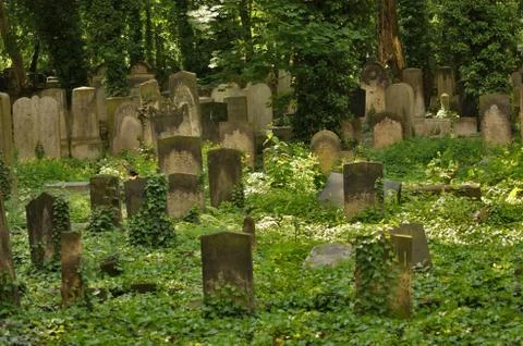 Idyllic old graveyard in berlin Stock Photos