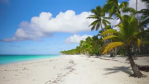 The idyllic palm-lined beach of Bavaro in Punta Cana on the Atlantic coast.  Stock Footage 229468583