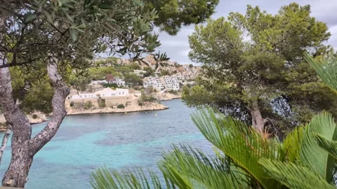 Idyllic panorama view through pine tree branches over the bay on Majorca Video stock 288075019