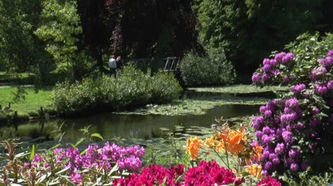 Idyllic park landscape Video stock 24602961