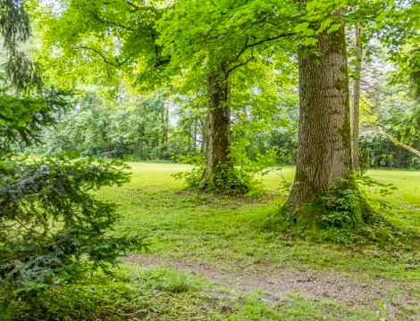 Idyllic park scenery Stock Photos