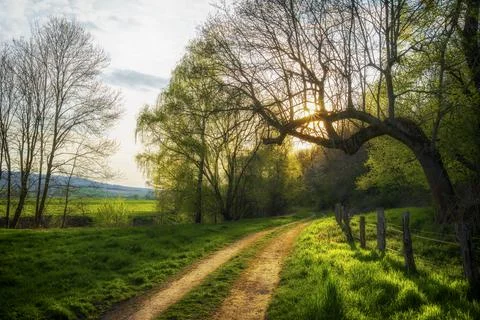 An idyllic path in a forest at sunset in spring Stock Photos
