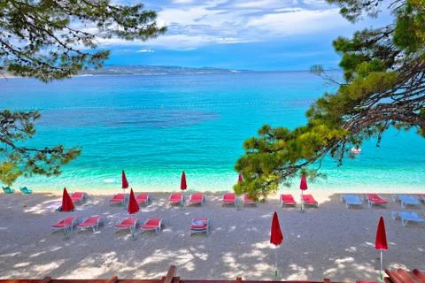 Idyllic pine trees and pebble beach in Baska Voda view, Stock Photos