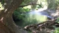 Idyllic River Background HD Footage
