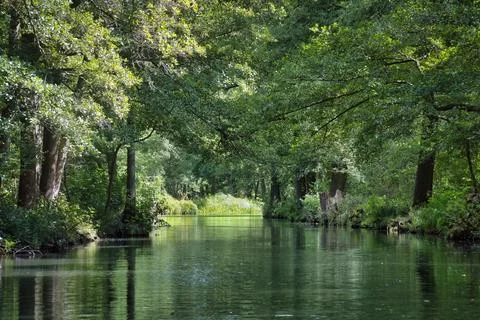 Idyllic river in the Spreewald with reflections in the clear water Stock Photos