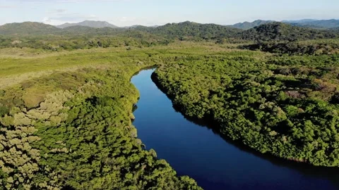 Idyllic river stream and navigation canal in the tropics, colorful exotic life Video stock 154612126