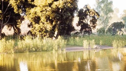 Idyllic riverside view with lush foliage and reflections during golden hour Stock Illustration