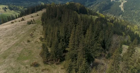 Idyllic rolling hills spring landscape in the Carpathians mountains Stock Footage 128698891