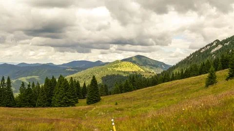 Idyllic rolling meadows with lush spruce forests and distant mountain ridge.. Stock Photos