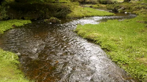 An idyllic S-shaped stream with grassy sides in patagonia Stock Footage 274307441
