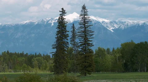 Idyllic scene of mountain range with evergreen trees Stock Footage 67610430