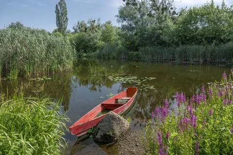 Idyllic scene on the river Stock Photos