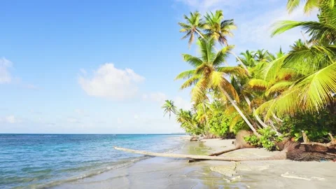 Idyllic Seychelles beach with white sand and coconut trees on a sunny summer day Stock Footage 247621048