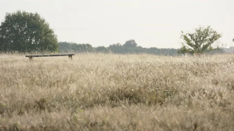 Idyllic shot of a empty bench on a sunny day 스톡 동영상 150377094