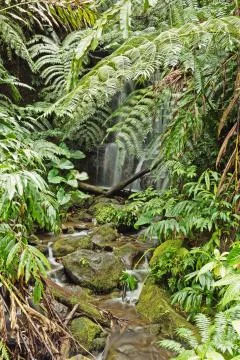 Idyllic small waterfall Stock Photos