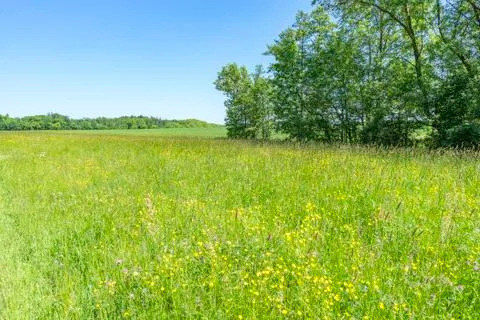 Idyllic spring time scenery Stock Photos