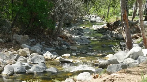 Idyllic Springtime mountain stream Stock Footage 73653520