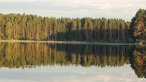 Idyllic summer landscape with crystal clear lake and forest trees reflections. Stock Footage 77613772