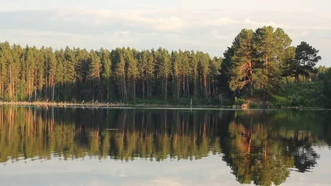 Idyllic summer landscape with crystal clear lake and forest trees reflections. Stock Footage 77613801