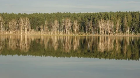 Idyllic summer landscape with crystal clear lake and forest trees reflections. Stock Footage 77613807