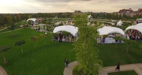 Idyllic Summer Landscape Vídeo Stock 88297890