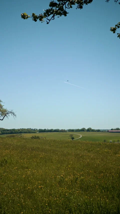 Idyllic Summer Meadow with Winding Path under a Clear Blue Sky Stock Footage 334134458
