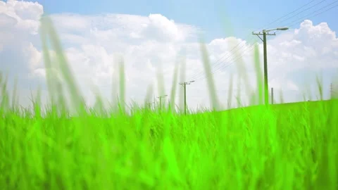 Idyllic summer scenery Video stock 249992315