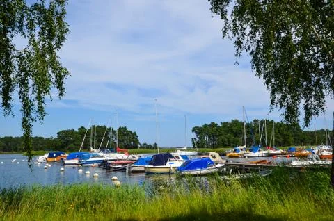 Idyllic summer view Stock Photos