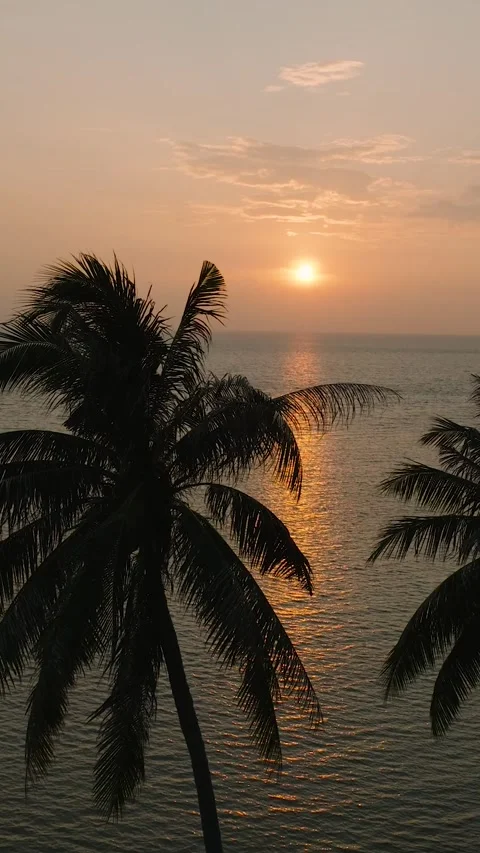 Idyllic sunset reflecting golden light over calm sea. Ko Pha Ngan, Thailand. Video stock 301487577