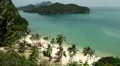 Idyllic Tropical Peaceful Sandy Beach Sunny Day Paradise Palm Tree Exotic Island HD Footage