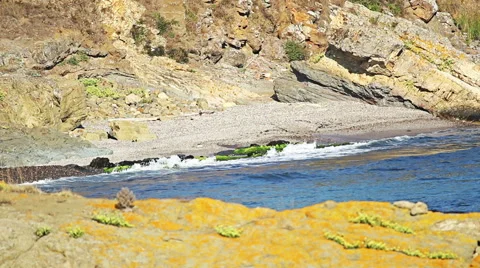 Idyllic tropical turquoise beach and sea coast with amazing nature Vídeos de archivo 43735340