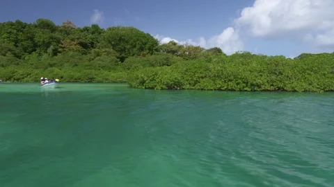 Idyllic turquoise calm lake surrounded by nature Stock Footage 255055582