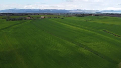 Idyllic Tuscany Green Fields in Spring Stock Footage 242616909