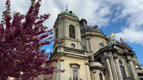 Idyllic view of flowers of a sakura tree next to the Dominican Cathedral in Lviv Stock Footage 272255073