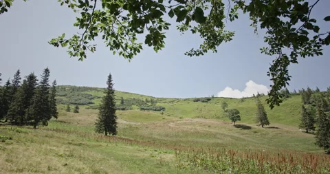 Idyllic view of a mountain landscape with lush green fields and forests under a Stockbeeldmateriaal 274714491