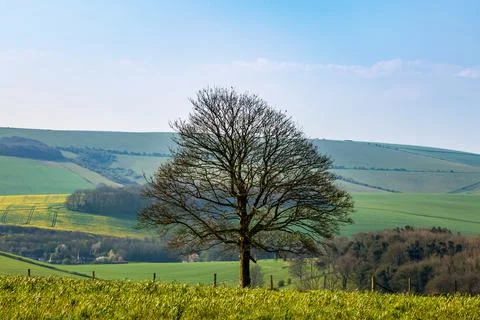 An idyllic view over a South Downs landscape in spring Stock Photos