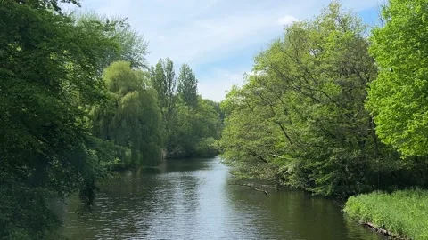 Idyllic Water with Shimmering Tree Reflections in Amsterdam Forest, Netherlands Stock Footage 343015126