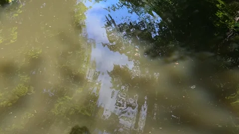 Idyllic Water with Shimmering Tree Reflections in Amsterdam Forest, Netherlands 스톡 동영상 343015152