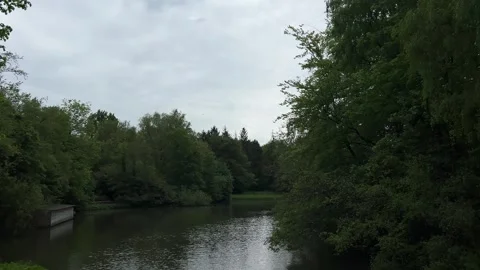 Idyllic Water with Shimmering Tree Reflections in Amsterdam Forest, Netherlands Stock-Footage 343015271