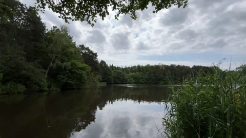 Idyllic Water with Shimmering Tree Reflections in Amsterdam Forest, Netherlands Video stock 343015415