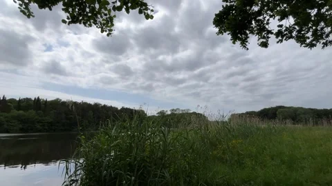 Idyllic Water with Shimmering Tree Reflections in Amsterdam Forest, Netherlands Video stock 343022523