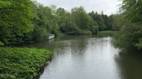 Idyllic Water with Shimmering Tree Reflections in Amsterdam Forest, Netherlands Stock Footage 343022726